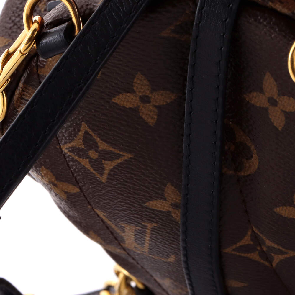 Louis Vuitton Palm Springs Backpack #211138L22B - Picture 8 of 9